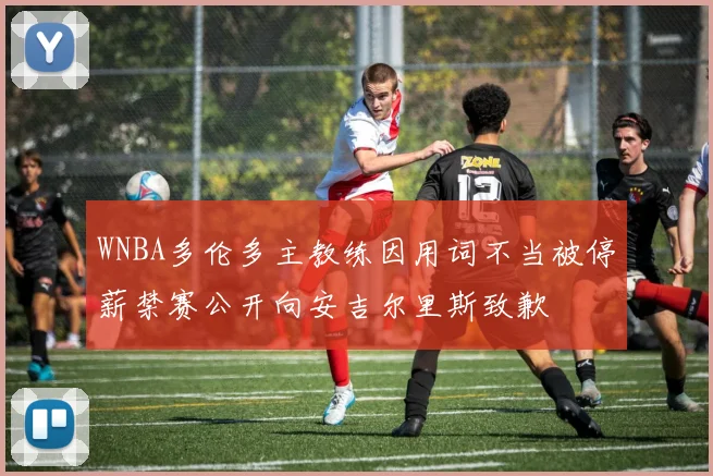 WNBA多伦多主教练因用词不当被停薪禁赛公开向安吉尔里斯致歉