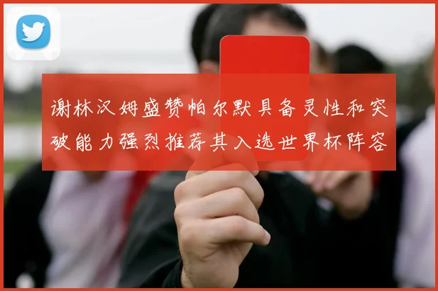 谢林汉姆盛赞帕尔默具备灵性和突破能力强烈推荐其入选世界杯阵容